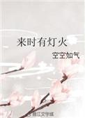 来时有灯火林疆董绪结局